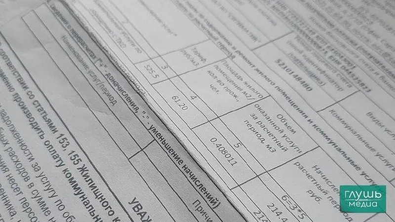 Депутаты предложили запретить автоматическое отключение без судебного решения и обязать поставщиков информировать должника о долге и условиях его погашения.