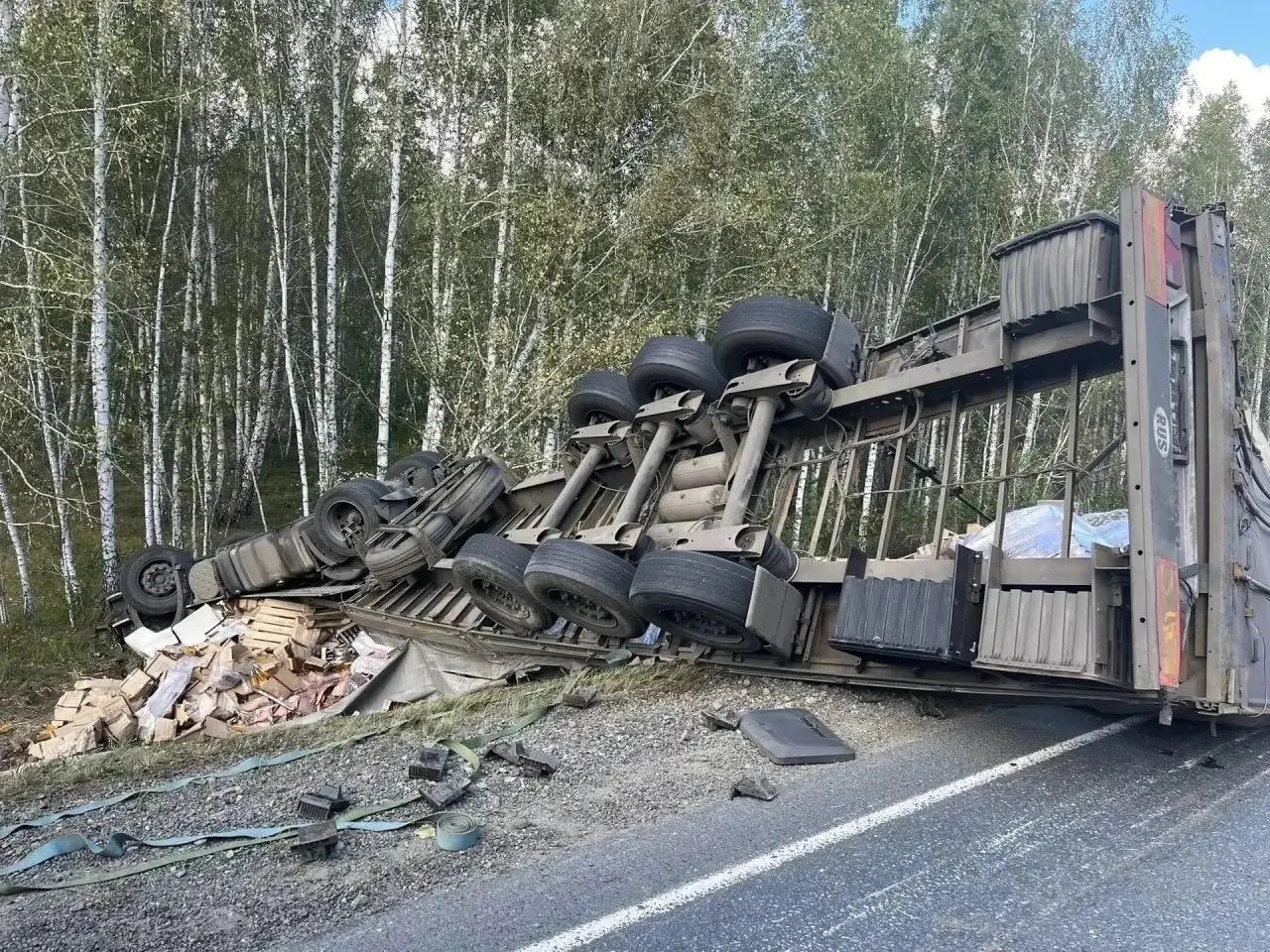 На трассе Челябинск — Курган — Омск — Новосибирск в Зауралье произошла смертельная авария; водитель грузовика погиб на месте.