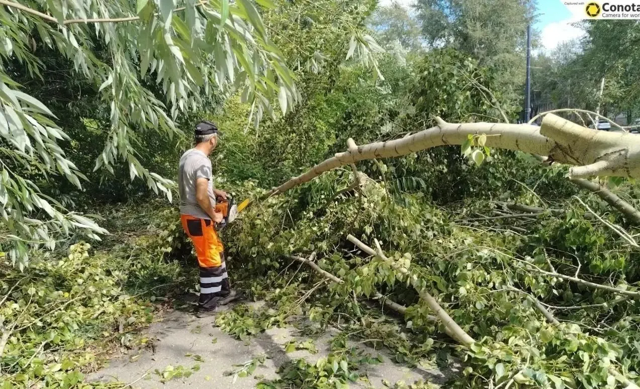Ураганные ветры повалили деревья в Ленинском районе; власти ведут работу по устранению последствий.