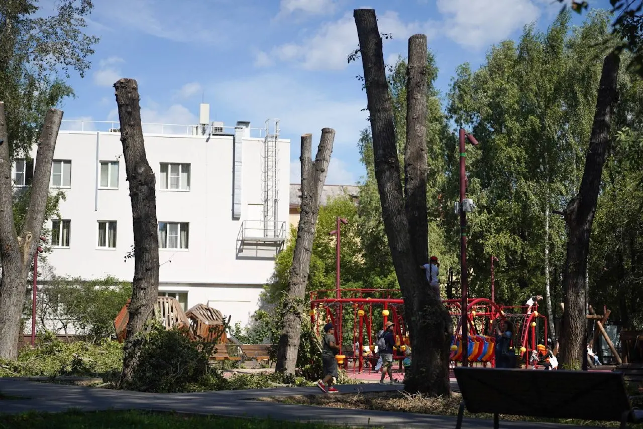 В Екатеринбурге в парке Энгельса рабочие спилили и обрезали около десяти деревьев вокруг детской площадки, что вызвало тревогу у местных активистов и защитников природы. Экологи предупреждают о рисках для гнездящихся птиц и будущего обновления зелени.