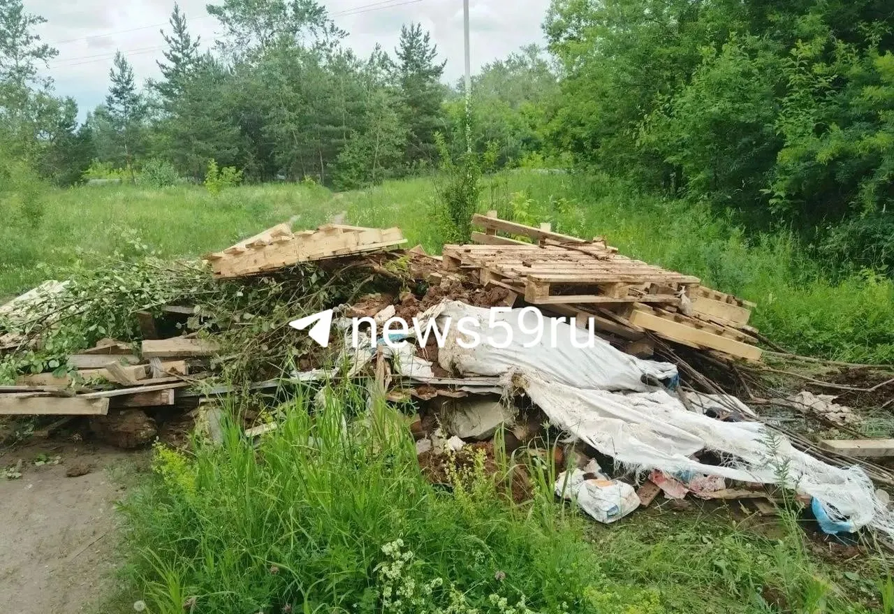 Более десяти лет у водоохранной зоны близ Черняевского леса в Пермском крае фиксируют свалку строительного мусора. По данным ведомств, состава преступления не выявлено, но нарушителя могут привлечь к административной ответственности; территорию внесут в реестр несанкционированных свалок и начнется ликвидация отходов.