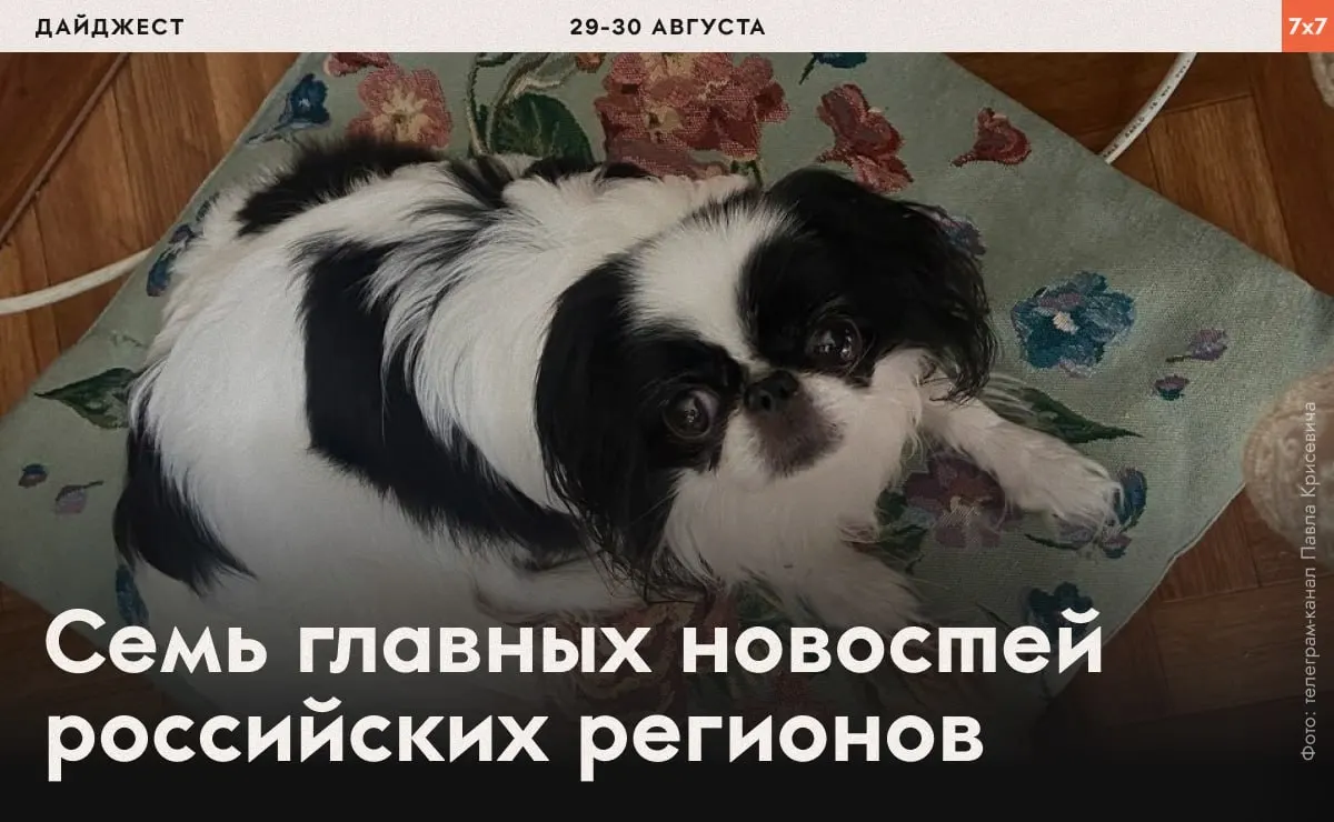 Сводка о давлении на политических активистов и запретах агитационных материалов в разных регионах страны.