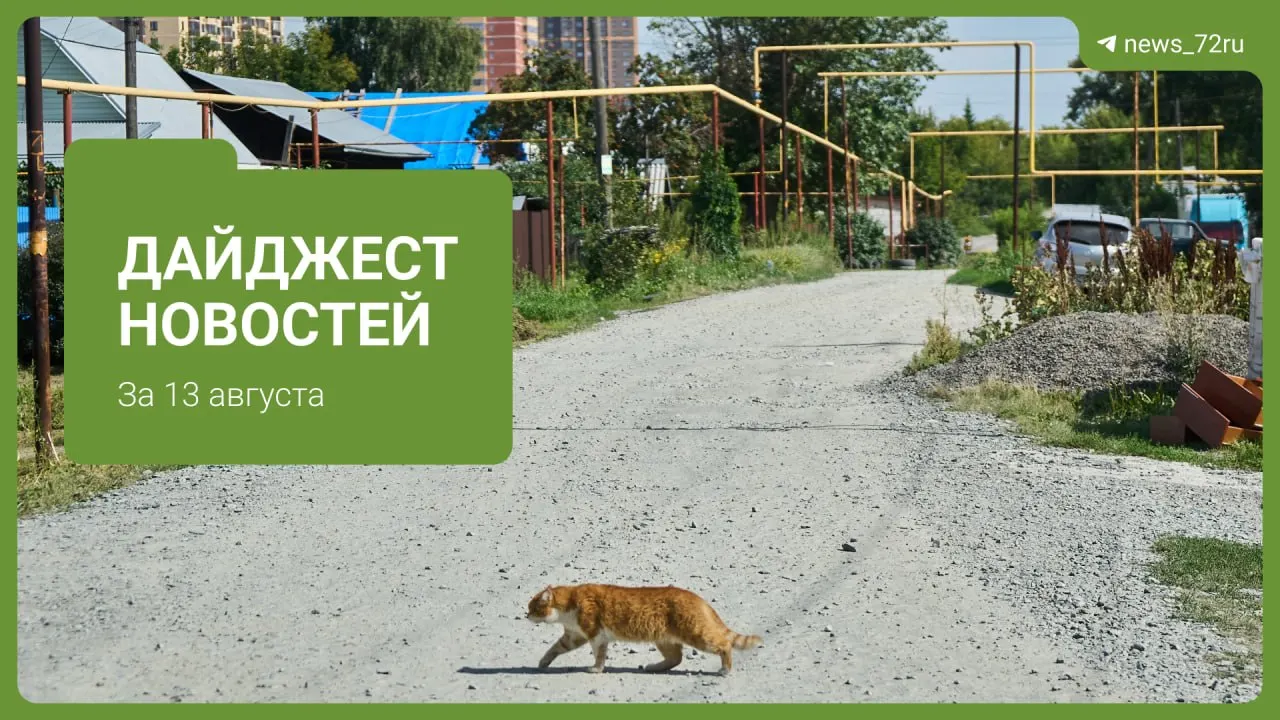 Краткий обзор событий в регионе: экология, погода, происшествия и повседневная жизнь жителей Тюменской области.
