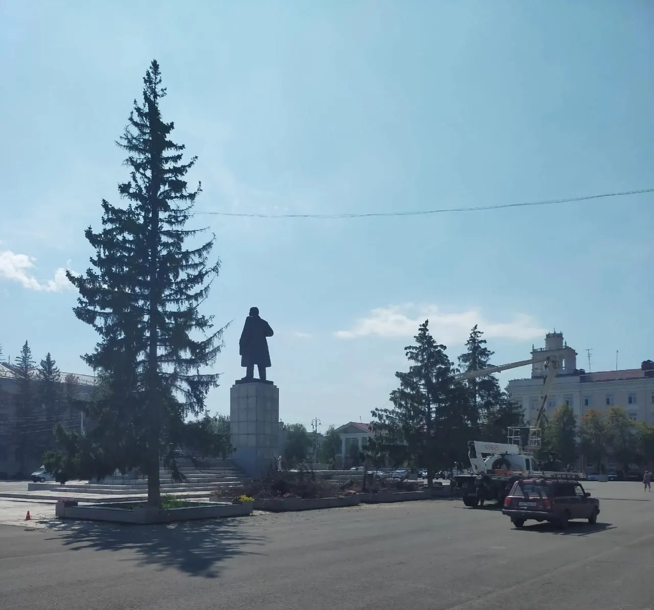 На площади Кургана вырубили засохшие ели и молодые деревья; вместо них планируют высадить шестиметровые 10-летние ели из Златоуста.