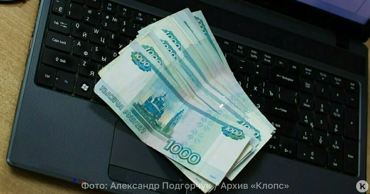 Рассматривается выпуск банкнот из пластика после анализа мирового опыта в части экономики и защиты от подделок. Депутаты отмечают долговечность и потенциальную экономию на перевыпуске.