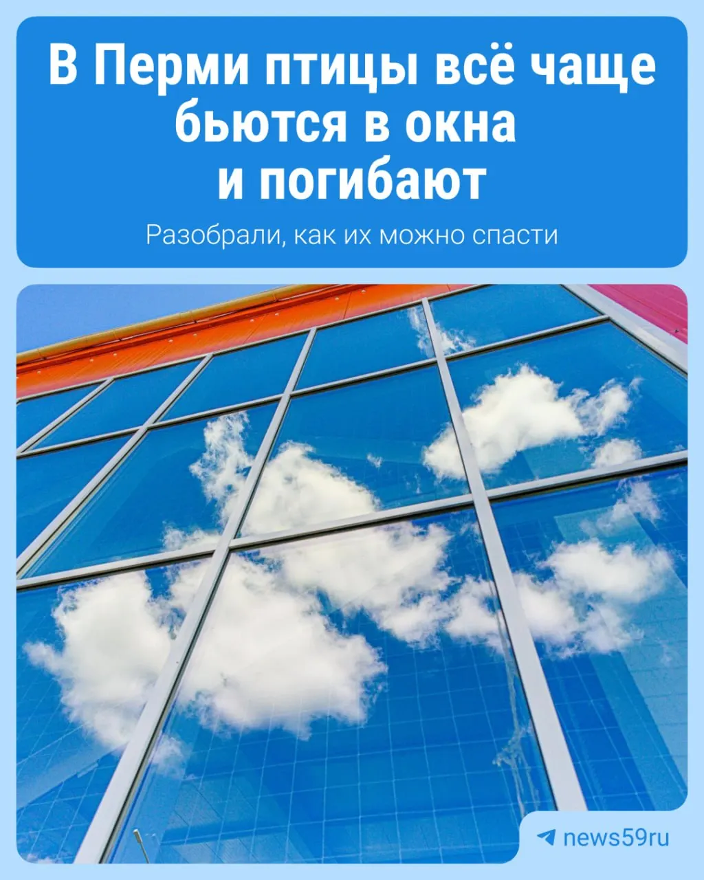Местные птицы гибнут после столкновений со стеклянными поверхностями; разбор причин и способы снижения риска.
