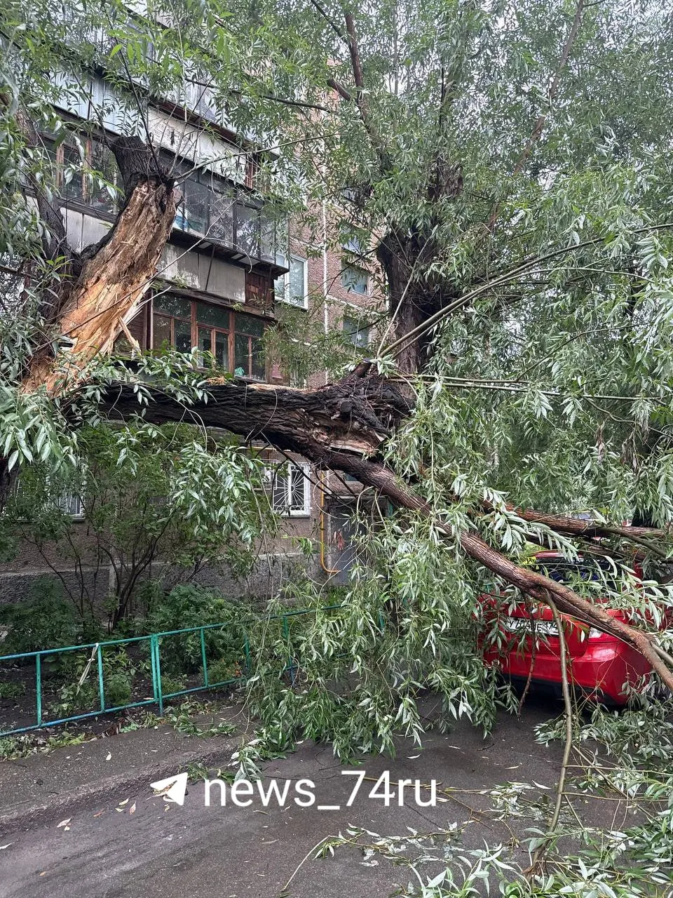 Жители сообщают, что дерево давно просили спилить. После падения автомобиля необходима экспертиза ущерба.