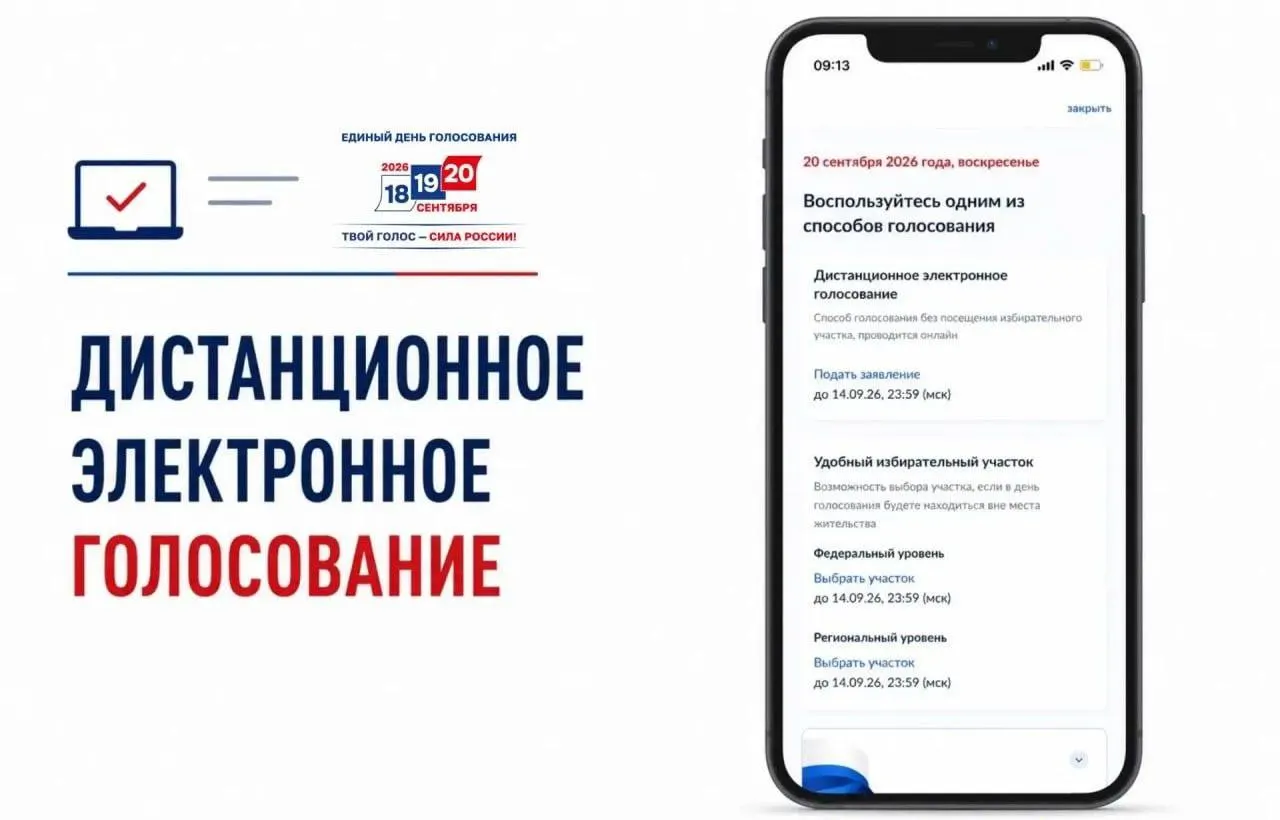 Началась подача заявлений на дистанционное электронное голосование на госуслугах; в статье обсуждаются риски фальсификаций и прозрачности процесса.