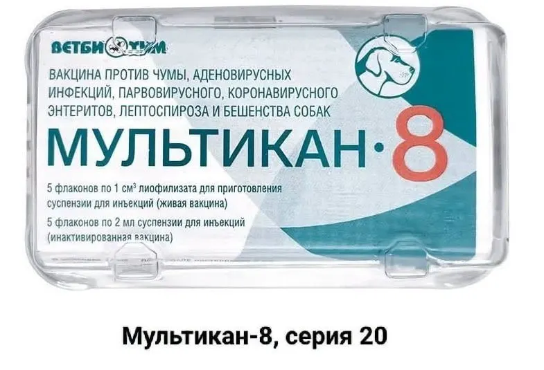Питомцев после прививки массово гибнут в нескольких регионах; обеспокоённые владельцы обращаются к блогерам и журналистам с просьбой провести независимое расследование и огласить факты.