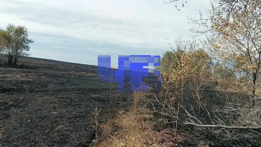 Пожары, произошедшие 7–8 сентября в Кизильском районе, уничтожили около 2200 гектаров неубранного урожая. Ущерб оценивается в миллионы рублей; причина — неосторожное обращение с огнём; ведётся розыск очевидцев.