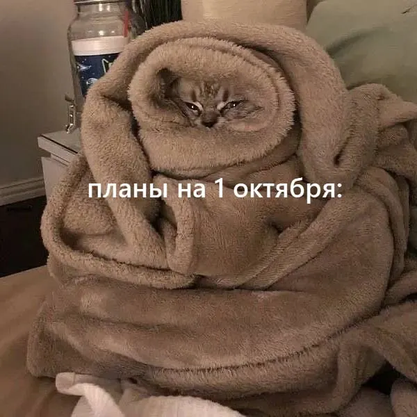Южный циклон принесет осадки, усиление ветра и гололед. В регионе Челябинской области ожидаются ухудшения на дорогах и похолодания.