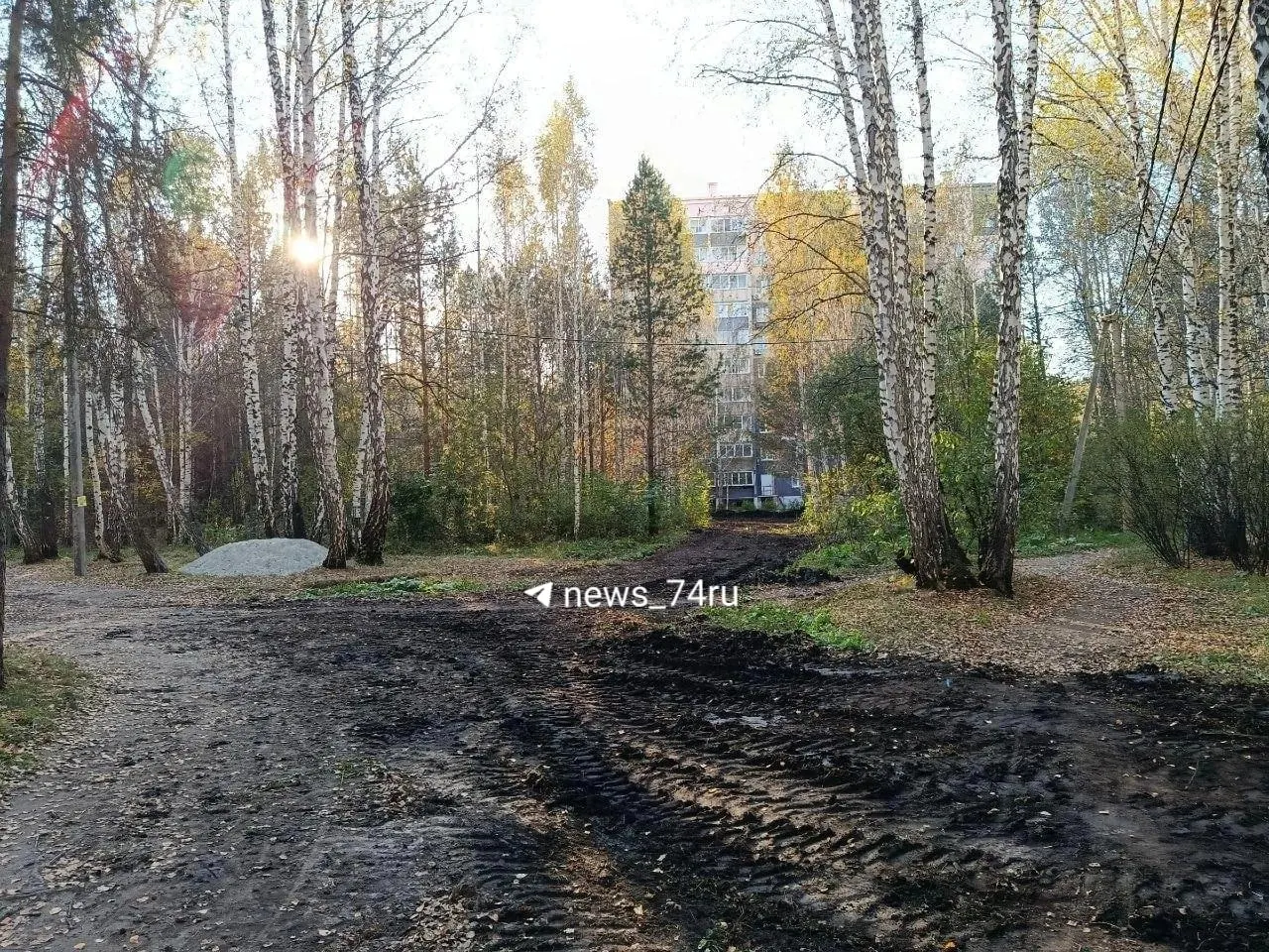 Дорога идёт от дома по адресу Хариса Юсупова, 85, к коттеджному посёлку. Местные жители требуют пояснений и отмечают запреты на рубку деревьев в городских лесах.