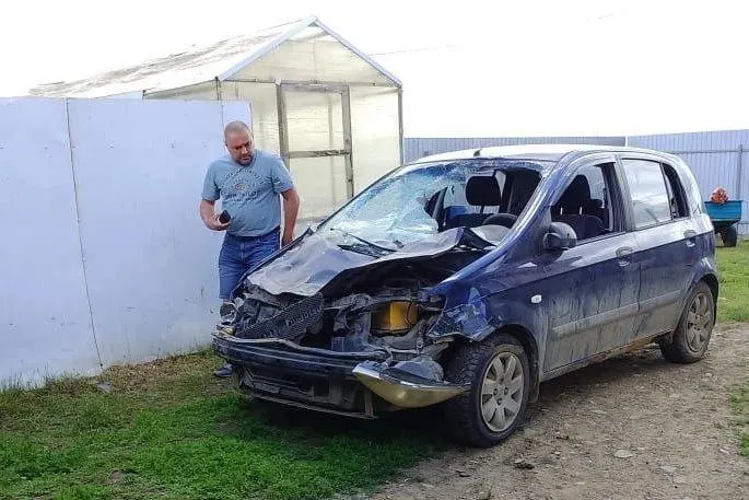ДТП с участием табуна лошадей на дороге в Аргаяшском районе: владелец табуна должен возместить ущерб.