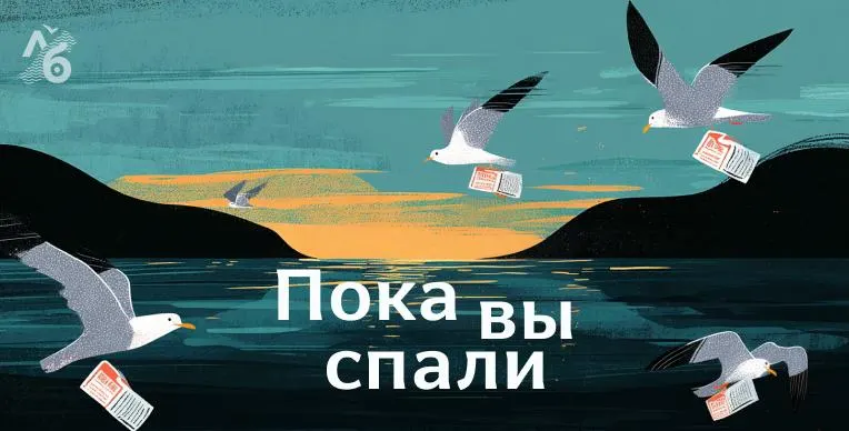 Серия инцидентов: атаки дронов в Новороссийске и Новом Уренгое, проблемы региональных служб и другие новости