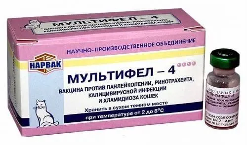 Владельцы кошек и собак сообщают о случаях тяжёлых побочных эффектов и гибели после вакцинации. В некоторых регионах зарегистрированы массовые случаи, клиники обвиняют нарушения хранения, а санкции усложняют импорт вакцин.
