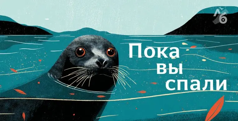 Сводка региональных и федеральных событий: политика, суды и планы развития инфраструктуры.