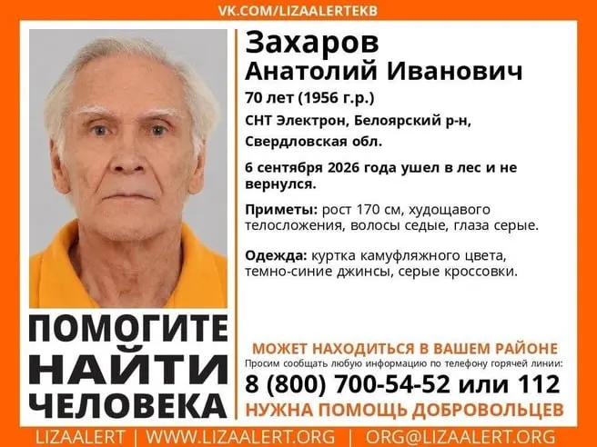 70-летний Анатолий Захаров исчез в лесу после похода за опятами. Ведутся поиски, власти рассматривают расширение полномочий для поиска, родственники просят помощи.