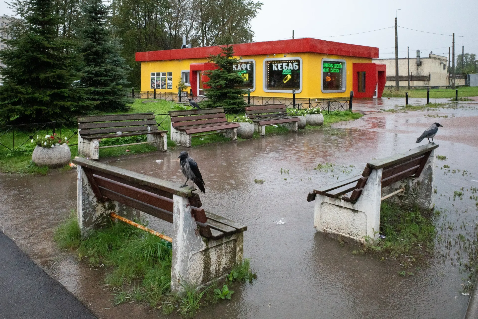 Сводка последних событий: разводы в Санкт-Петербурге, политические и юридические новости по России и военные столкновения в мире.