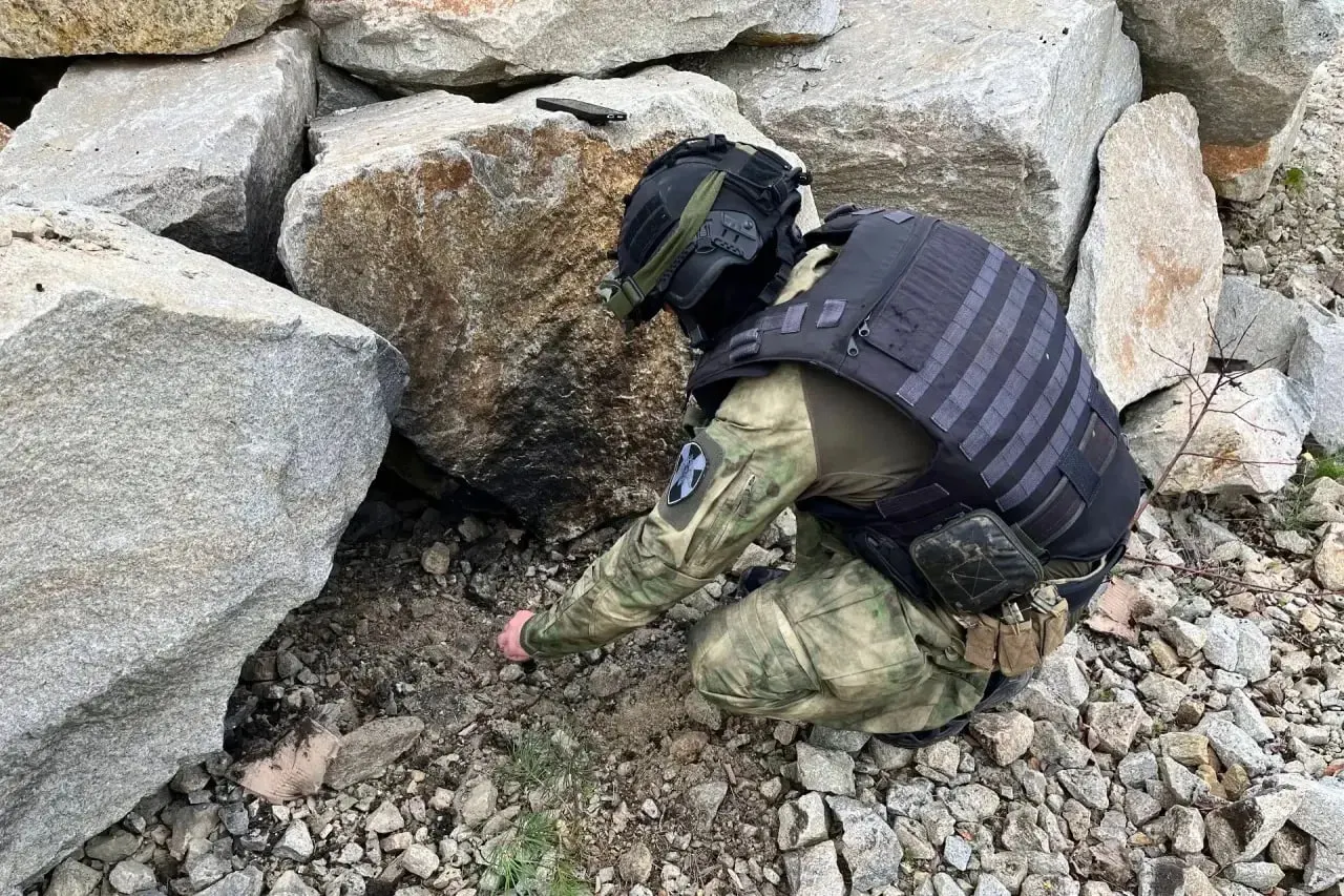 Хозяин палисадника нашёл боеприпас и сообщил в силовые структуры. Разминирование завершило нейтрализацию боеприпаса немецкого происхождения.