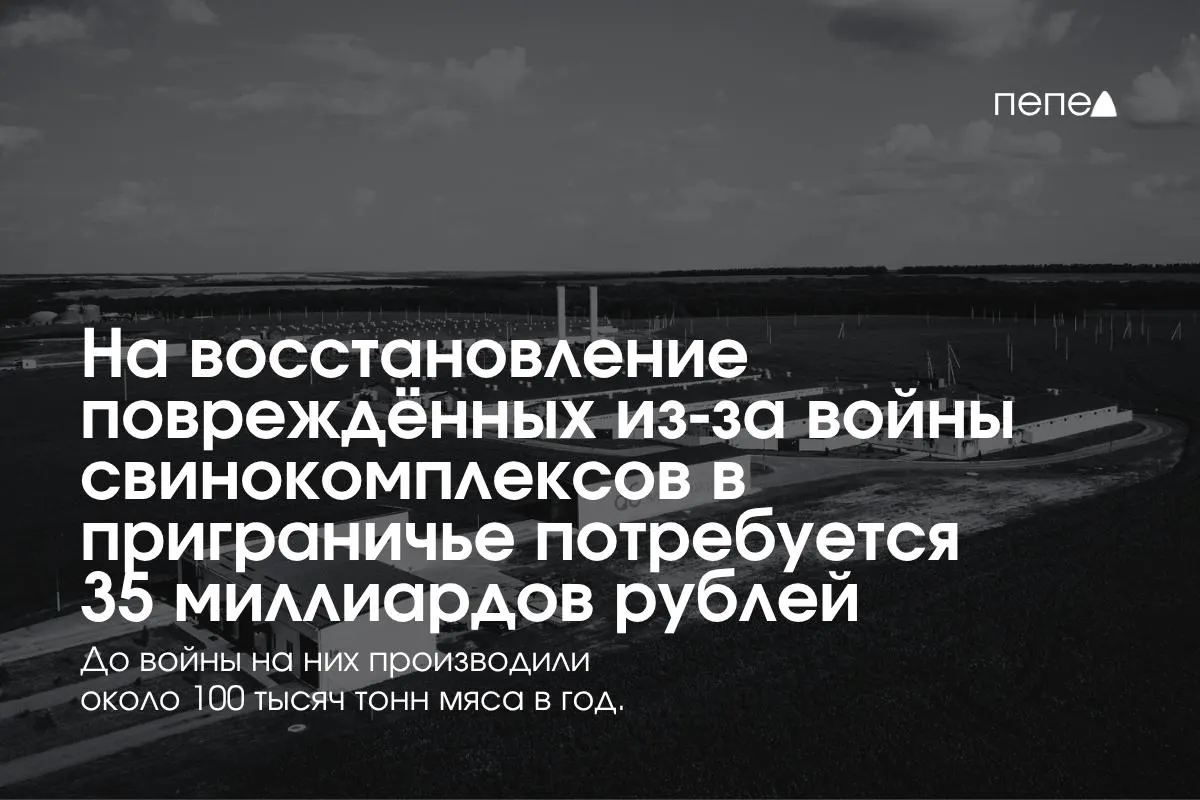 В приграничных Белгородской, Курской и Брянской областях рассчитывают потратить 35 млрд рублей на восстановление свинокомплексов после обстрелов и атак беспилотников.