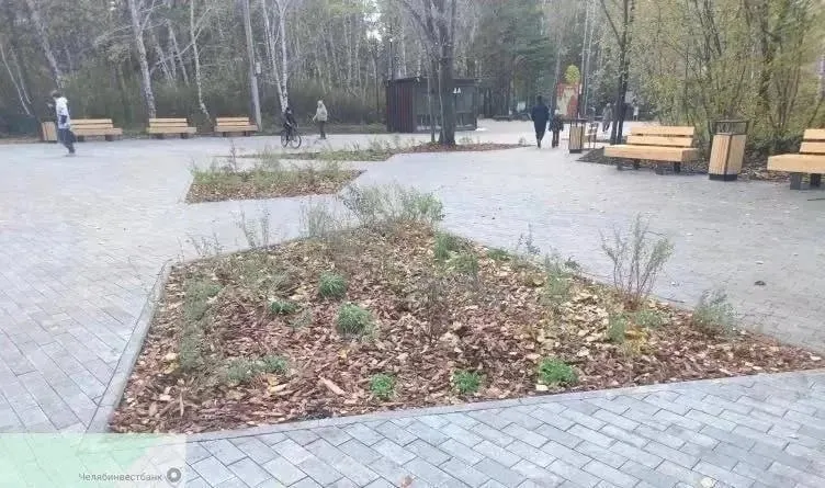 В Экопарке на западе Челябинска завершена высадка запланированных растений; подрядчик продолжает устранение недоработок, работы не приняты и не оплачены.