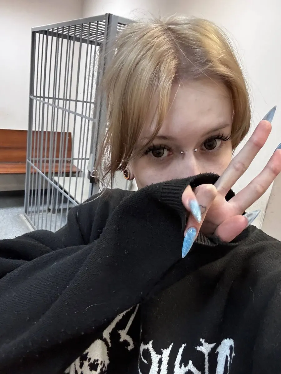 18-летняя блогерша задержана на девять суток после ролика, призвавшего найти пропавшую кошку по кличке Freedom; расследование и допросы произошли в городе.
