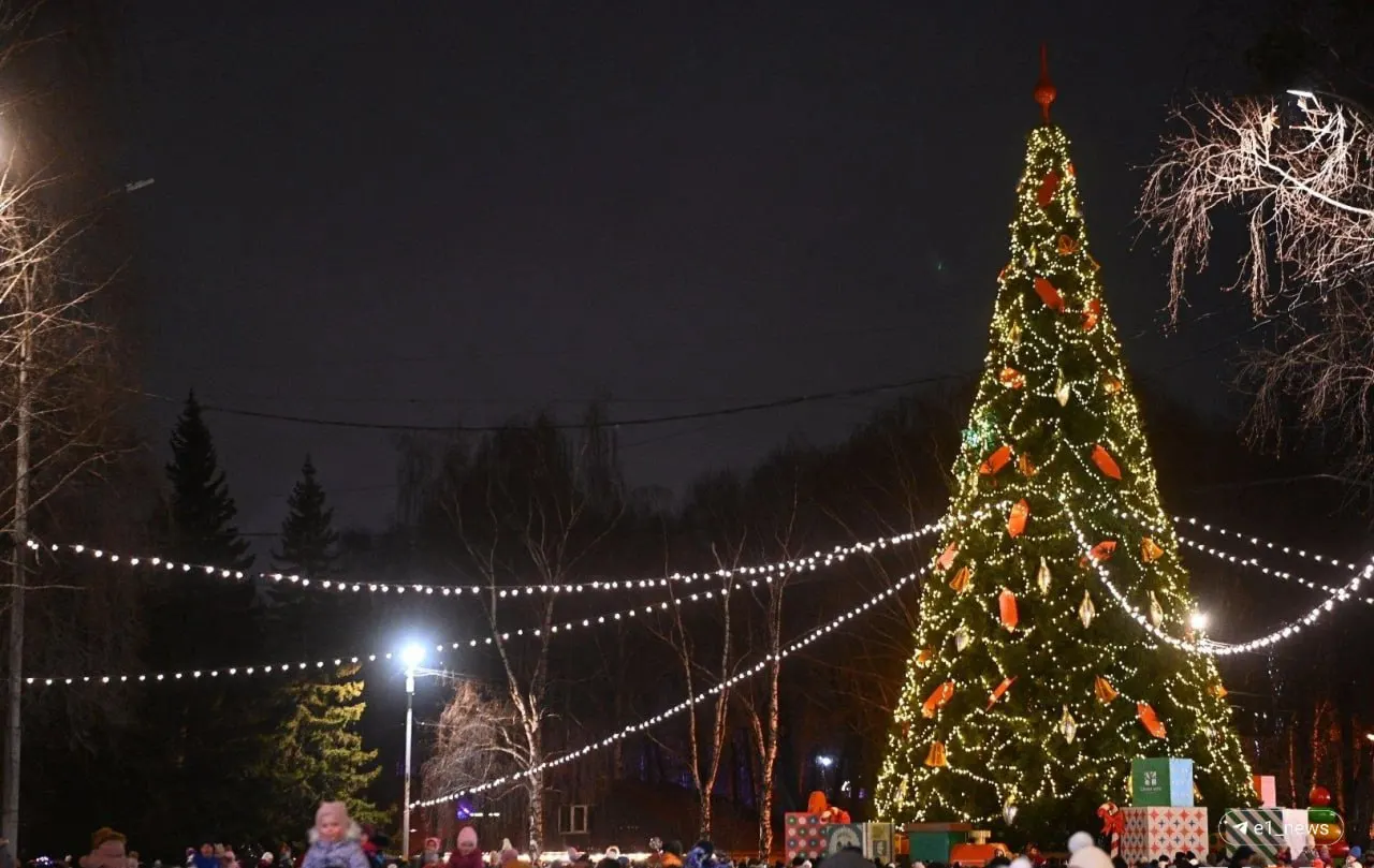 Елочные украшения появятся в центре города: парк Маяковского и площадь 1905 года преобразятся к празднику, оформят Плотинку.
