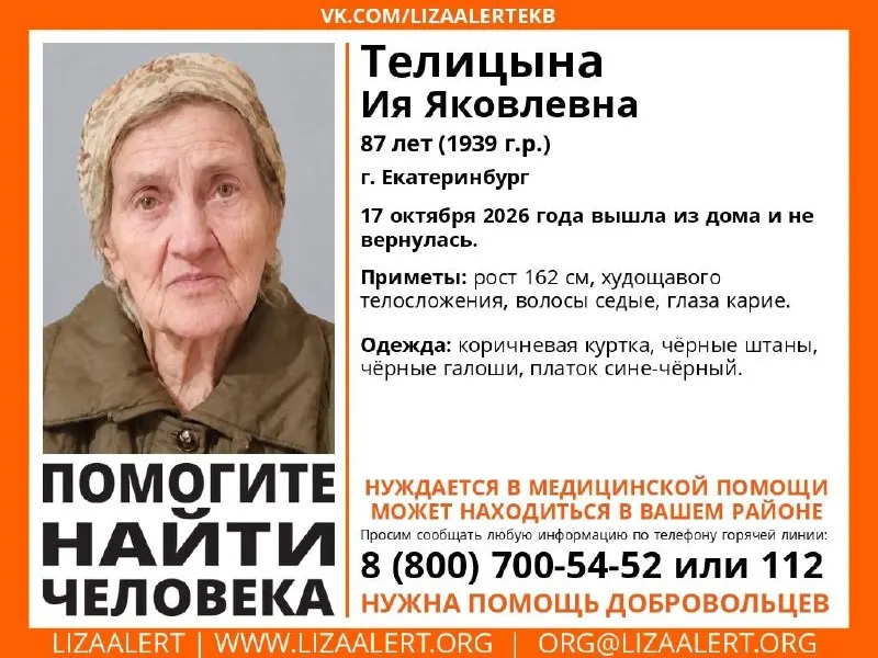87-летняя Ия Телицына ушла из дома 17 октября и до сих пор не найдена. Обращаются свидетели, чтобы помочь установить её местонахождение.