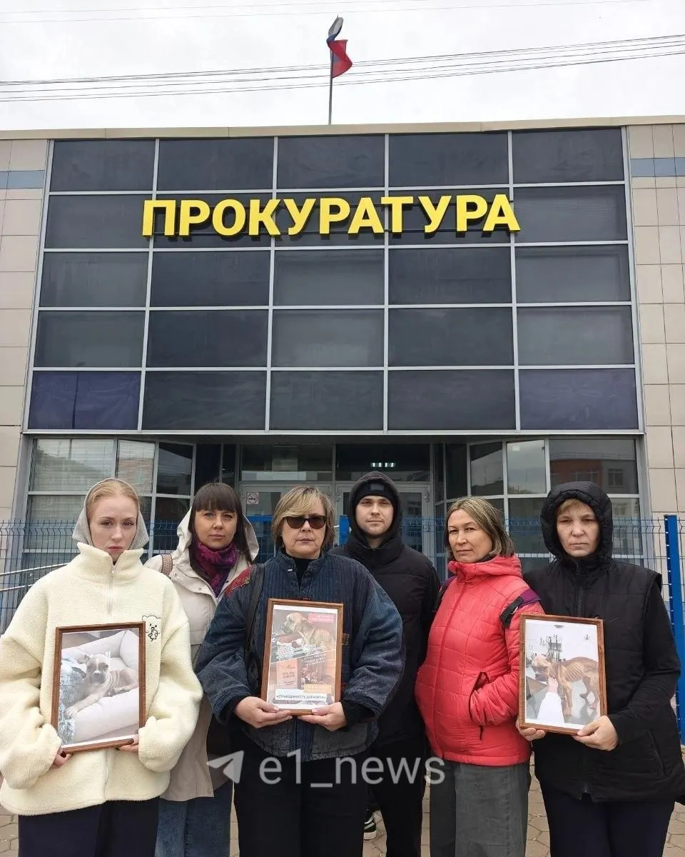 В Верхней Пышме возбуждено уголовное дело по факту жестокого обращения с животным в отношении хозяйки пса по кличке Мэгги. Активисты собрали свыше 600 подписей, а животное погибло спустя неделю после передачи в ветеринарную клинику.