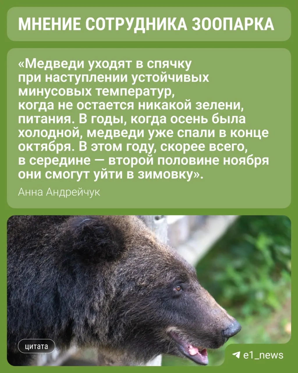 Животные остаются активными перед зимой; учёные объясняют, как накопление жира позволяет пережить спячку и какие факторы могут вызвать ранний подъём.