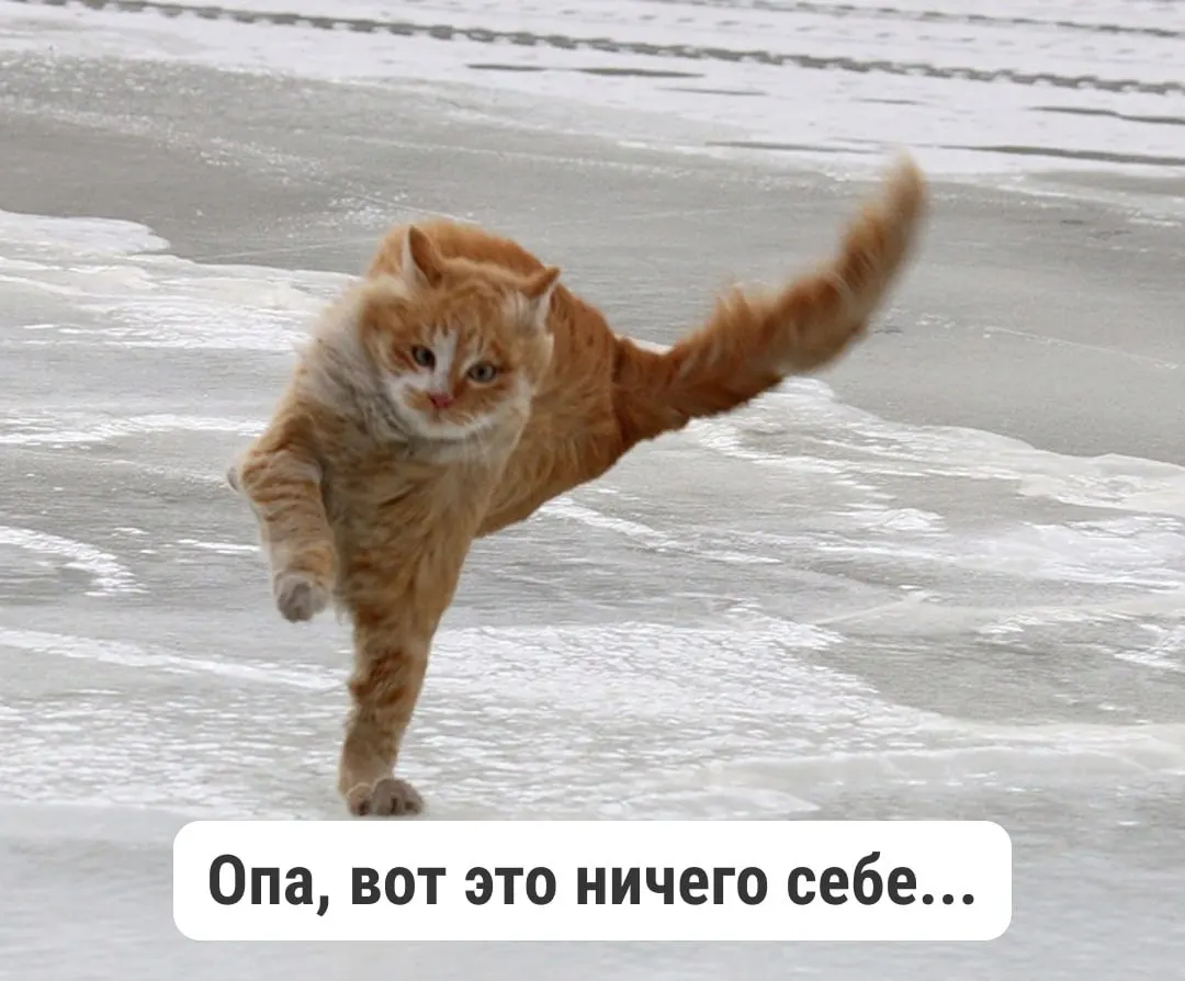 По прогнозам, к середине месяца в регионе может образоваться снежный покров, особенно в столице региона и прилегающих районах.