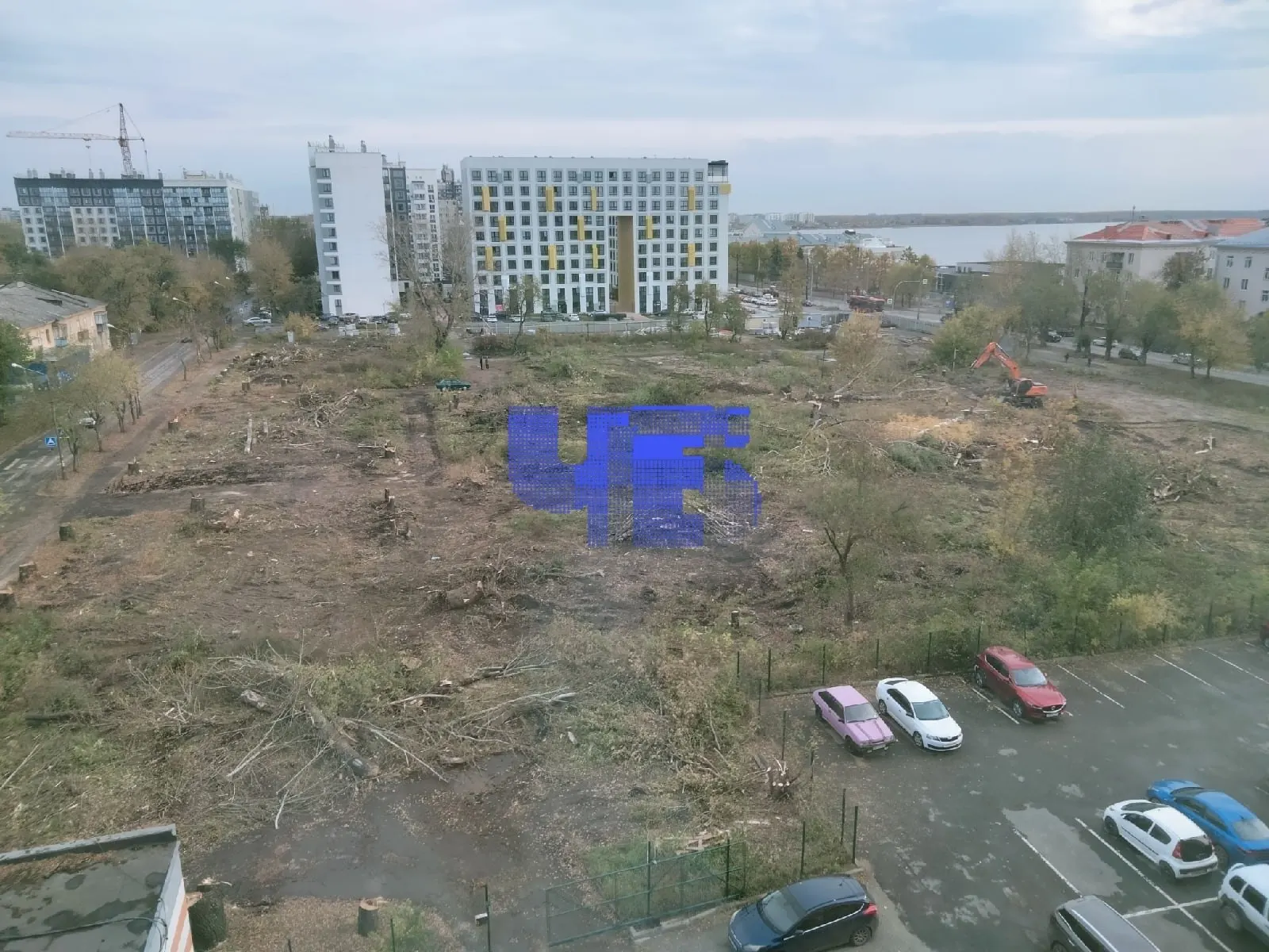 Жители Ленинского района возмущены уничтожением зелёной зоны у дома №51 на Ереванской улице; на участке под застройку вырубили десятки деревьев, которые росли десятилетиями.