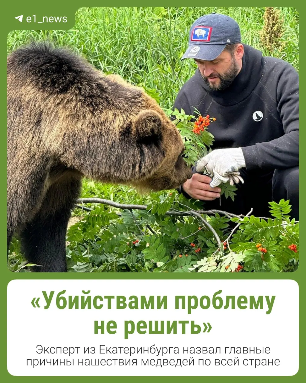 В регионе УрФО обсуждают гуманную стратегию снижения конфликтов между людьми и дикими медведями без применения радикальных мер.