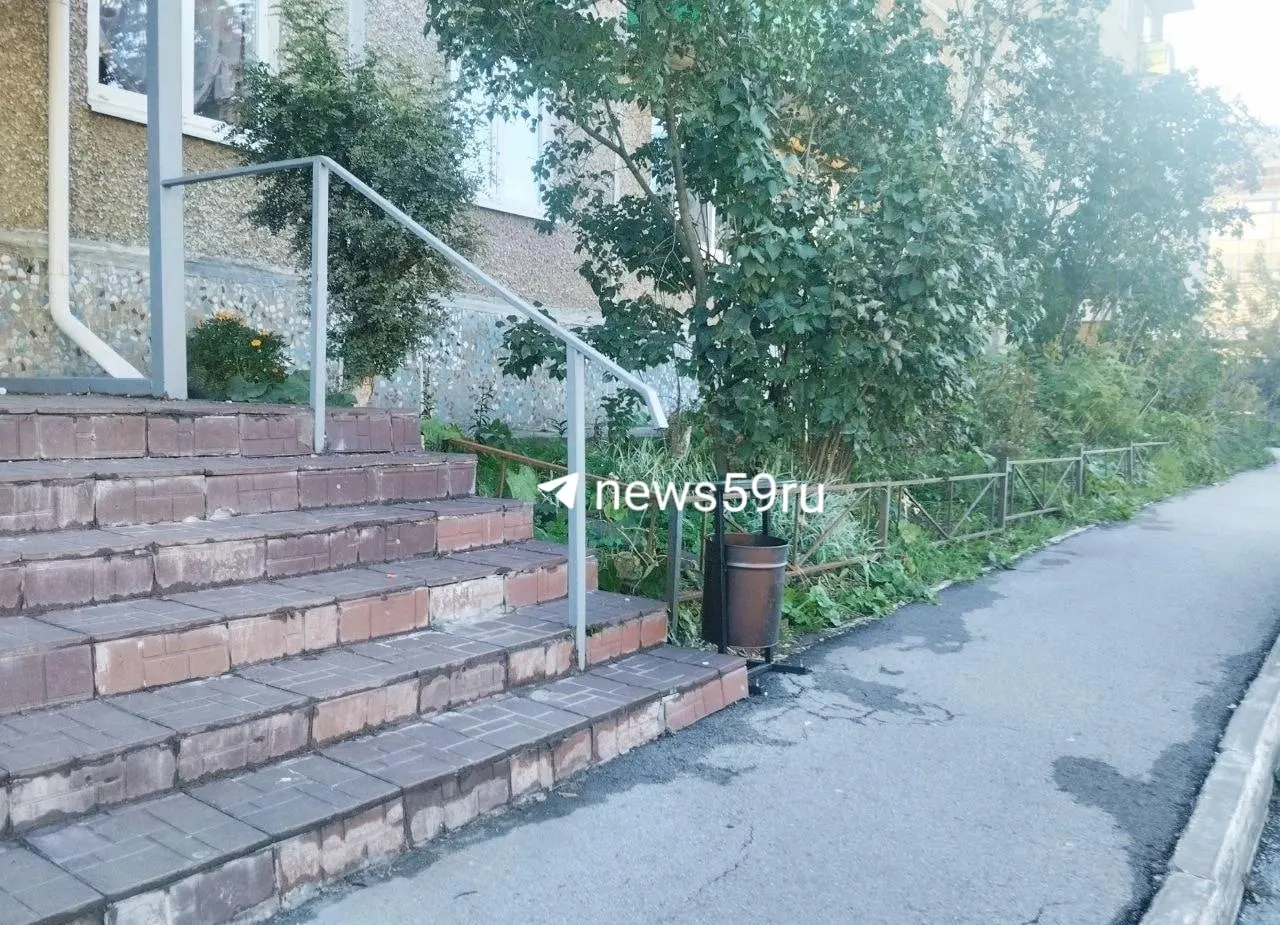 Следствие возбудило уголовное дело по факту гибели ребенка.