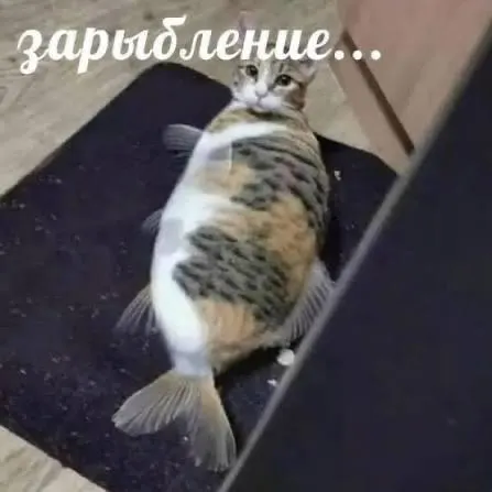 Акция по зарыблению: выпущены чёрный амур, сазан и толстолобик; рыбы выполняют разные роли в очистке водоема и поддержании баланса экосистемы.