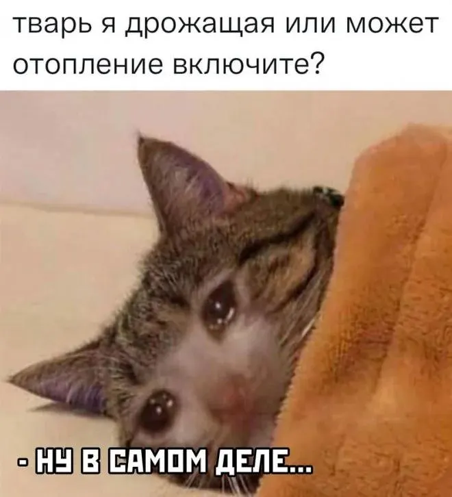 Горожане жалуются на холод в домах и учебных заведениях уже более недели, жалобы поступают по районам города.
